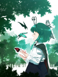 Rule 34 | 1girl, antennae, bad id, bad pixiv id, bug, butterfly, cape, closed eyes, female focus, forest, green hair, green theme, bug, music, nature, outdoors, plant, profile, short hair, singing, solo, tonbi, touhou, wriggle nightbug