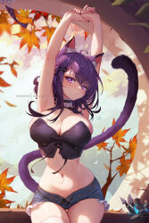 Rule 34 | 1girl, ahoge, animal ears, armpits, arms up, autumn leaves, breasts, bustier, cat ears, cat girl, cat tail, choker, cleavage, contrapposto, cowboy shot, frilled choker, frilled shorts, frills, gluteal fold, hair between eyes, large breasts, leaf, looking at viewer, maple leaf, medium hair, midriff, mitsu (mitsu art), navel, original, partially unbuttoned, patreon username, puckered lips, purple eyes, purple hair, purple nails, short shorts, shorts, solo, stretching, tail, thigh gap, thighhighs, watermark, wide hips, window