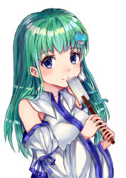 Rule 34 | 1girl, absurdres, bare shoulders, blue eyes, closed mouth, collarbone, collared vest, commentary request, detached sleeves, frog hair ornament, gohei, green hair, hair ornament, happy, highres, holding, kochiya sanae, long hair, long sleeves, looking at viewer, oonusa, simple background, smile, snake hair ornament, suzushina, touhou, upper body, very long hair, vest, white background, white sleeves, white vest, wide sleeves