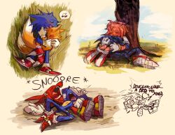 Rule 34 | 1girl, 3boys, against tree, amy rose, animal ears, animal nose, blush, body fur, boots, closed eyes, closed mouth, commentary, cuddling, day, drooling, english commentary, english text, furry, furry female, furry male, gloves, grass, highres, knuckles the echidna, looking at another, lying, multiple boys, multiple tails, musical note, on back, on grass, open mouth, outdoors, rat riot, red footwear, shoes, shouting, sitting, snoring, sonic (series), sonic the hedgehog, spoken musical note, tail, tails (sonic), tree, two tails, white gloves