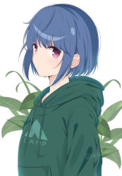 Rule 34 | 1girl, alternate hair length, alternate hairstyle, blue hair, blush, bob cut, closed mouth, clothes writing, commentary request, drawstring, green hoodie, hood, hood down, hoodie, looking at viewer, nekosination, purple eyes, shima rin, short hair, simple background, solo, twitter username, upper body, white background, yurucamp