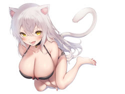 Rule 34 | 1girl, animal ears, bell, blush, breasts, cat ears, cat tail, cleavage, highres, large breasts, long hair, looking at viewer, nail polish, neck bell, original, pokachu, red nails, silver hair, simple background, sitting, solo, tail, very long hair, wariza, yellow eyes