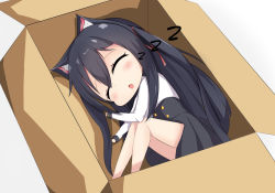 Rule 34 | 1girl, animal ear fluff, animal ears, black hair, black skirt, blush, box, cardboard box, cat ears, chestnut mouth, chibi, chisuzu mei, closed eyes, commentary request, grey background, hair between eyes, hair ribbon, highres, in box, in container, long hair, long sleeves, lying, nagato-chan, on side, one side up, parted lips, paryi project, pleated skirt, red ribbon, ribbon, shirt, simple background, skirt, sleeping, sleeves past wrists, solo, very long hair, virtual youtuber, white shirt, zzz