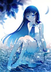 Rule 34 | 1girl, absurdres, arm support, artist name, bare shoulders, barefoot, bloom, blue eyes, blue hair, blue ribbon, blue theme, blurry, blurry foreground, brooch, cevio, closed mouth, collared dress, dappled sunlight, dress, english text, floating hair, full body, futaba minato, gradient neck ribbon, hair ornament, hairclip, highres, hitoba, jewelry, knees up, lace, lace-trimmed dress, lace trim, layered dress, leaf, light blush, light particles, long hair, looking at viewer, official art, ribbon, ripples, scrunchie, second-party source, shade, sitting, sleeveless, sleeveless dress, smile, soaking feet, solo, stream, sunlight, white background, white dress, wrist scrunchie