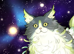 Rule 34 | animal focus, cat, commentary request, ewiyar (cat) (granblue fantasy), fluffy, galaxy, granblue fantasy, hai (ho ren sow), looking at viewer, meme, no humans, space, space cat (meme), star (sky), whiskers, yellow eyes