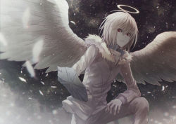 Rule 34 | 1boy, accelerator (toaru majutsu no index), angel31424, angel wings, angry, commentary request, falling feathers, feathered wings, feathers, fur trim, grey theme, halo, jacket, looking down, male focus, medium hair, pants, red eyes, solo, toaru majutsu no index, toaru majutsu no index: old testament, v-shaped eyebrows, white hair, white jacket, white pants, white wings, wings