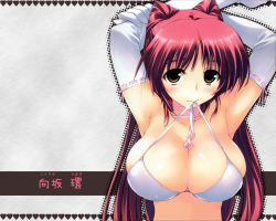 Rule 34 | 1girl, amazuyu tatsuki, arms up, bra, breasts, brown eyes, cleavage, elbow gloves, gloves, heart, huge breasts, kousaka tamaki, lingerie, long hair, mouth hold, red hair, solo, to heart (series), to heart 2, underwear, wallpaper