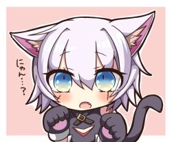 Rule 34 | 1girl, animal ears, animal hands, blue eyes, blush, cat ears, cat paws, cat tail, fang, fate/grand order, fate (series), jack the ripper (fate/apocrypha), jako (jakoo21), looking at viewer, open mouth, short hair, silver hair, solo, tail, text focus, translated, upper body