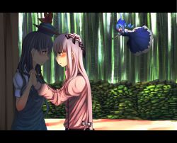 Rule 34 | 3girls, bad id, bad pixiv id, bamboo, bamboo forest, blue hair, blush, breasts, cirno, dennou, dennou switch, eye contact, female focus, flying, forest, fujiwara no mokou, holding hands, hat, kamishirasawa keine, letterboxed, long hair, looking at another, multiple girls, nature, o o, open mouth, pink hair, short hair, touhou, very long hair, yuri
