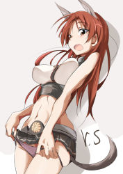 Rule 34 | 1girl, animal ears, artist name, black panties, black skirt, breasts, brown eyes, brown hair, commentary, cosplay, cowboy shot, crop top, dog ears, dog tail, emblem, kantai collection, long hair, looking at viewer, medium breasts, microskirt, midriff, midriff peek, minna-dietlinde wilcke, mutsu (kancolle), mutsu (kancolle) (cosplay), navel, open mouth, panties, panty pull, parted bangs, pleated skirt, shadow, shino (ten-m), shirt, signature, single horizontal stripe, skindentation, skirt, smile, solo, standing, strike witches, tail, underwear, white shirt, world witches series