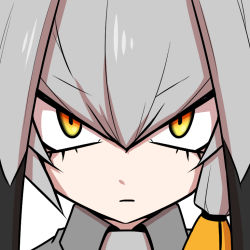 Rule 34 | 10s, 1girl, closed mouth, collared shirt, eyelashes, grey hair, hair between eyes, hair flaps, jin (mugenjin), kemono friends, long hair, looking at viewer, low ponytail, multicolored hair, necktie, orange hair, portrait, shirt, shoebill (kemono friends), side ponytail, solo