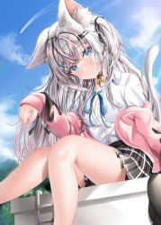 Rule 34 | 1girl, absurdres, animal ear fluff, animal ears, bell, black skirt, blue eyes, blush, breasts, cat ears, cat girl, cat tail, cleavage, cloud, cloudy sky, collar, collared shirt, commentary request, day, ear down, fang, hair between eyes, hair ornament, hairclip, highres, jacket, long hair, long sleeves, looking at viewer, medium breasts, neck bell, neck ribbon, nekoya minamo, open clothes, open jacket, original, outdoors, pink jacket, plaid, plaid skirt, pleated skirt, ribbon, shirt, sidelocks, silver hair, sitting, skirt, sky, tail, thighs, white shirt