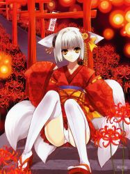 Rule 34 | 1girl, animal ears, flower, fox, fox ears, fox tail, hair ornament, highres, japanese clothes, kimono, nail polish, panties, red nails, sitting, sitting on stairs, solo, spider lilies, spider lily, stairs, suzuhira hiro, tabi, tail, thighhighs, torii, underwear, white hair, white panties, yellow eyes