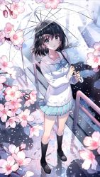 Rule 34 | 1girl, black footwear, black hair, black socks, blue bow, blue bowtie, blue skirt, bow, bowtie, breasts, cherry blossoms, commentary request, flower, from above, full body, grey eyes, hair between eyes, highres, holding, holding umbrella, kneehighs, loafers, long sleeves, looking at viewer, looking up, medium breasts, medium hair, miniskirt, nardack, original, parted lips, pink flower, plaid, plaid bow, plaid bowtie, plaid neckwear, plaid skirt, pleated skirt, railing, rain, sailor collar, shoes, skirt, sleeves past wrists, socks, solo, standing, sweater, transparent, transparent umbrella, umbrella, water, white sailor collar, white sweater