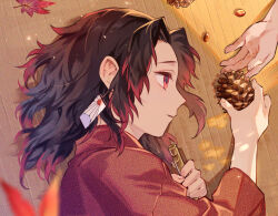 Rule 34 | 1boy, 1other, aged down, black hair, blurry, blurry foreground, closed mouth, commentary request, expressionless, falling leaves, hand up, holding, japanese clothes, kimetsu no yaiba, kimono, leaf, long sleeves, lying, male focus, maple leaf, medium hair, multicolored hair, on side, oyumai, parted bangs, pinecone, profile, red eyes, red hair, red kimono, seed, sidelocks, solo focus, streaked hair, tsugikuni yoriichi, upper body, wooden floor