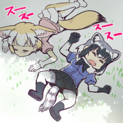Rule 34 | 10s, 2girls, animal ears, bad id, bad pixiv id, black footwear, black gloves, black legwear, black skirt, blonde hair, blue shirt, boots, bow, bowtie, closed eyes, closed mouth, common raccoon (kemono friends), elbow gloves, fangs, fennec (kemono friends), fox ears, fox tail, gloves, grey hair, kemono friends, lying, multicolored hair, multiple girls, on back, on stomach, open mouth, pantyhose, pink shirt, pleated skirt, puffy short sleeves, puffy sleeves, raccoon ears, raccoon tail, shade, shirt, short hair, short sleeves, skirt, sleeping, spread legs, tail, totokichi, white legwear, white skirt, yellow legwear