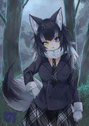 Rule 34 | 10s, 1girl, animal ears, black hair, blue eyes, breasts, forest, fur collar, gloves, grey wolf (kemono friends), hand on own hip, heterochromia, highres, kemono friends, long hair, long sleeves, looking at viewer, multicolored hair, nature, necktie, open mouth, skirt, solo, tail, two-tone hair, waichi2424, wolf ears, wolf tail, yellow eyes