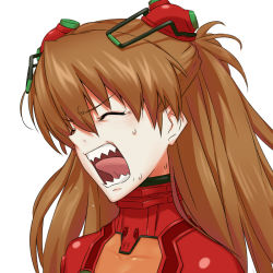 Rule 34 | 00s, 1girl, angry, bodysuit, brown hair, closed eyes, evangelion: 2.0 you can (not) advance, kanna asuke, long hair, neon genesis evangelion, open mouth, plugsuit, rebuild of evangelion, sharp teeth, shouting, simple background, solo, souryuu asuka langley, sweat, teeth, test plugsuit, tongue, upper body, what, white background