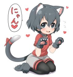 Rule 34 | 1girl, animal ear fluff, animal ears, animal hands, black collar, black hair, black pantyhose, blue eyes, blush, cat ears, cat girl, cat tail, collar, commentary request, extra ears, fang, flying sweatdrops, fur trim, gloves, heart, kaban (kemono friends), kemono friends, kemonomimi mode, no headwear, open mouth, pantyhose, paw gloves, paw pose, paw shoes, ransusan, red shirt, seiza, shirt, short hair, short sleeves, shorts, sitting, solo, t-shirt, tail, translation request