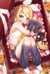 Rule 34 | 1girl, :3, aqua eyes, arm warmers, ataraii moyasi, bare shoulders, black collar, black shorts, blonde hair, bow, box, box of chocolates, candy, chocolate, chocolate heart, collar, commentary, crop top, fetal position, flower, food, hair bow, hair ornament, hairclip, heart, highres, in box, in container, kagamine rin, leg warmers, looking at viewer, mouth hold, nail polish, neckerchief, orange flower, orange rose, rose, sailor collar, school uniform, shirt, short hair, short shorts, shorts, sleeveless, sleeveless shirt, smile, solo, swept bangs, valentine, vocaloid, white bow, white footwear, white shirt, yellow nails, yellow neckerchief