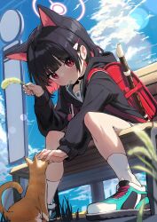 Rule 34 | 1girl, absurdres, aged down, animal ears, backpack, bada (jksh5056), bag, black choker, black hair, black hoodie, blue archive, blunt bangs, blush, candy, cat, cat ears, cat girl, cattail, choker, colored inner hair, commentary, crime prevention buzzer, flute, food, food in mouth, from below, green sailor collar, hair ornament, hairclip, halo, highres, hood, hoodie, instrument, kazusa (blue archive), lollipop, long sleeves, looking at viewer, mouth hold, multicolored hair, on bench, orange cat, outdoors, petting, pink eyes, pink hair, plant, randoseru, recorder, sailor collar, shoes, short hair, sidelocks, sitting, sleeve cuffs, sneakers, socks, solo, white socks