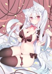 Rule 34 | 1girl, animal ears, between breasts, black bra, black panties, blush, bow, bow bra, bra, breasts, brown thighhighs, candy, cat ears, cat girl, cat tail, chocolate, chocolate heart, cleavage, closed mouth, collarbone, commentary request, detached collar, food, frilled bra, frills, front-tie top, hair between eyes, headdress, heart, highres, holding, holding own hair, large breasts, long hair, looking at viewer, navel, neck ribbon, original, panties, petals, pink eyes, pink ribbon, puffy short sleeves, puffy sleeves, ribbon, satsuki mayuri, short sleeves, shrug (clothing), side-tie panties, silver hair, sitting, skindentation, smile, solo, stomach, tail, thighhighs, underwear, very long hair, wrist cuffs, yokozuwari