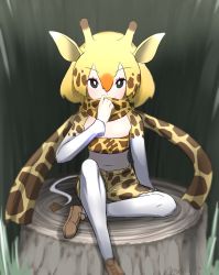 Rule 34 | 1girl, absurdres, animal costume, animal ear fluff, animal ears, animal print, black eyes, blonde hair, bra, giraffe ears, giraffe horns, giraffe print, giraffe tail, highres, horns, juuou giraffe (kemono friends), kemono friends, looking at viewer, multicolored hair, pants, pantyhose, scarf, shoes, short hair, sitting, solo, tail, tanio (tanio 0114), underwear