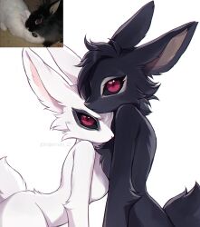 2girls 3rdperson_iz animal_ears animal_nose black_fur black_sclera body_fur colored_sclera creature_and_personification furry furry_female head_on_chest heads_together highres looking_at_viewer multiple_girls original personification photo_inset purple_eyes rabbit_ears rabbit_girl rabbit_tail real_life_insert reference_inset simple_background tail twitter_username white_background white_fur