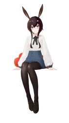 Rule 34 | 1girl, absurdres, amiya (arknights), animal ear fluff, animal ears, arknights, black bow, black footwear, black pantyhose, blue eyes, blue sky, blush, bow, brown hair, collared shirt, full body, hair between eyes, hair ornament, hairclip, highres, loafers, long hair, long sleeves, looking at viewer, pantyhose, puffy long sleeves, puffy sleeves, rabbit ears, rabbit hair ornament, shirt, shoes, sidelocks, simple background, sitting, sky, sleeves past wrists, smile, solo, white background, white shirt, xiaobei