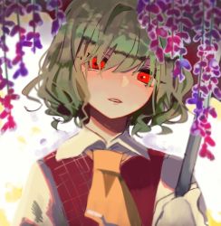 Rule 34 | 1girl, ascot, collared shirt, flower, green hair, highres, holding, holding umbrella, kazami yuuka, long sleeves, looking at viewer, red eyes, red vest, shi chimi, shirt, short hair, solo, touhou, umbrella, upper body, vest, white shirt, wisteria, yellow ascot