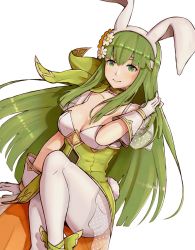Rule 34 | 1girl, animal ears, breasts, cleavage, closed mouth, fake animal ears, fake tail, fire emblem, fire emblem: mystery of the emblem, fire emblem heroes, flower, gloves, gonzarez, green eyes, green hair, hair flower, hair ornament, highres, long hair, medium breasts, nintendo, palla (fire emblem), pantyhose, rabbit ears, rabbit tail, simple background, smile, solo, tail, white background, white gloves, white pantyhose