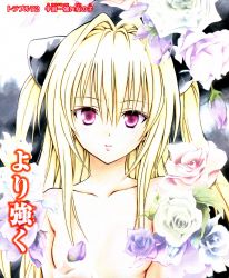 Rule 34 | 00s, 1girl, absurdres, blonde hair, blush, breasts, censored, censored nipples, comic, convenient censoring, flower, flower censor, hair between eyes, hair ornament, highres, konjiki no yami, long hair, nude, official art, parted lips, petal censor, petals, red eyes, rose, scan, small breasts, solo, to love-ru, two side up, upper body, very long hair, yabuki kentarou
