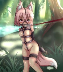 Rule 34 | 1girl, animal ears, armbinder, arms behind back, bad id, bad pixiv id, bdsm, belt, bit gag, blush, bondage, bound, breasts, collar, crotch rope, dappled sunlight, day, fangs, feet out of frame, forest, fox ears, fox tail, gag, gagged, grass, groin, harness, highres, hotel01, leash, leash pull, nature, nipples, nude, o-ring, original, outdoors, pink eyes, pink hair, public indecency, public nudity, restrained, saliva, short hair, slave, small breasts, solo, standing, sunlight, tail, tears, thigh strap, tree