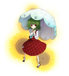 Rule 34 | 1girl, :3, aged down, ascot, female focus, flower, from above, green hair, kazami yuuka, kintaro, looking up, mary janes, parasol, plaid, plaid skirt, plaid vest, red eyes, shoes, skirt, skirt set, smile, solo, sunflower, touhou, umbrella, vest