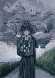 Rule 34 | 1girl, black eyes, black hair, black serafuku, black skirt, closed mouth, commentary request, cowboy shot, expressionless, grass, hand up, holding, holding umbrella, illl264, lightning, long hair, long sleeves, looking at viewer, low twintails, neckerchief, original, outdoors, over shoulder, overcast, pale skin, pleated skirt, rain, school uniform, serafuku, skirt, sky, solo, standing, storm, storm cloud, tall grass, transparent, transparent umbrella, twintails, umbrella, white neckerchief