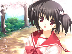 Rule 34 | 1girl, brown eyes, brown hair, cherry blossoms, game cg, mitsumi misato, outdoors, school uniform, solo, to heart (series), to heart 2, twintails, yuzuhara konomi