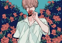 Rule 34 | 1boy, blue background, brown hair, bush, closed eyes, collarbone, collared shirt, commentary request, flower, flower over mouth, flower request, hand up, highres, kankara nashi, male focus, original, red flower, shirt, short hair, short sleeves, solo, twitter username, upper body, white shirt