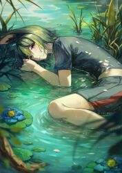 Rule 34 | 1boy, absurdres, animal ear fluff, animal ears, black hair, blue flower, blush, chrisleryen, flower, fox boy, fox ears, genshin impact, green eyes, green hair, highres, lily pad, looking at viewer, lying, lying on water, male focus, on side, outdoors, parted lips, partially submerged, petals, ripples, short sleeves, solo, tighnari (genshin impact), water, wet