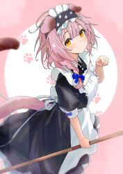 Rule 34 | 1girl, alternate costume, animal ears, apron, arknights, black dress, black hairband, blue bow, blush, bow, braid, cat ears, cat girl, cat tail, commentary, dress, enmaided, frilled apron, frilled hairband, frills, goldenglow (arknights), hair bow, hairband, hand up, holding, lightning bolt print, long hair, looking at viewer, maid, paw pose, paw print, paw print background, pink background, pink hair, puffy short sleeves, puffy sleeves, short sleeves, side braid, solo, sora mame (princess 0sora), symbol-only commentary, tail, white apron, yellow eyes