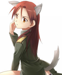 Rule 34 | 1girl, animal ears, kazuki sanbi, minna-dietlinde wilcke, solo, strike witches, tail, wolf ears, wolf tail, world witches series