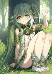 Rule 34 | 1girl, arm up, bare legs, bare shoulders, blush, bracer, braid, commentary request, cross-shaped pupils, crystalfly (genshin impact), darnell, dress, feet, forest, genshin impact, gradient hair, grass, green eyes, green hair, hair between eyes, hair ornament, highres, knees up, korean commentary, leaf hair ornament, long hair, looking at viewer, multicolored hair, nahida (genshin impact), nature, outdoors, parted lips, pointy ears, side ponytail, sidelocks, sitting, socks, solo, stirrup legwear, symbol-shaped pupils, thighs, toeless legwear, toes, tree, two-tone hair, white dress, white hair, white socks