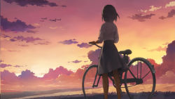 Rule 34 | 1girl, bicycle, brown hair, claire cruz, cloud, from behind, hikuushi series, morisawa haruyuki, short hair, skirt, sky, solo, toaru hikuushi e no koiuta, twilight