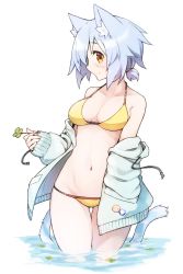 Rule 34 | 1girl, animal ear fluff, animal ears, bikini, blue hair, breasts, cat ears, cat tail, cleavage, closed mouth, facial scar, groin, highres, medium breasts, navel, orange eyes, original, partially submerged, ryota tentei, scar, scar on cheek, scar on face, short hair, simple background, solo, swimsuit, tail, tora tentei, white background