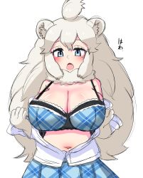 Rule 34 | 1girl, animal ears, bare shoulders, blue eyes, bra, breasts, cleavage, detached collar, elbow gloves, fang, fur collar, gloves, grey hair, highres, kemono friends, large breasts, lion ears, lion girl, long hair, looking at viewer, navel, open clothes, open mouth, open shirt, parted bangs, plaid, plaid bra, plaid skirt, pozesuke, shirt, simple background, sketch, skirt, solo, stomach, underwear, undressing, very long hair, white background, white lion (kemono friends), white shirt