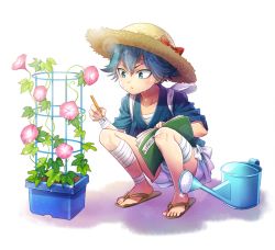 Rule 34 | 10s, 1boy, :&lt;, ankle wrap, blue eyes, blue hair, book, flower, hat, japanese clothes, jin akhr, male focus, matching hair/eyes, morning glory, open book, pencil, sandals, sayo samonji, scar, shorts, solo, squatting, sweat, touken ranbu, watering can
