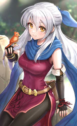 Rule 34 | 1girl, bangle, belt, bird, bird on hand, black gloves, black pantyhose, blue scarf, boots, bracelet, breasts, commentary request, covered navel, dress, elbow gloves, fingerless gloves, fire emblem, fire emblem: radiant dawn, gloves, gonzarez, hair ribbon, highres, jewelry, long hair, looking at viewer, medium breasts, micaiah (fire emblem), nintendo, pantyhose, ribbon, scarf, short dress, side slit, silver hair, sleeveless, sleeveless dress, smile, solo, thighs, yellow eyes, yune (fire emblem)