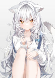 Rule 34 | 1girl, absurdres, animal ear fluff, animal ears, bare legs, breasts, cat ears, cat tail, cleavage, closed mouth, collarbone, grey hair, hair between eyes, highres, kamioka shun&#039;ya, knees up, large breasts, long hair, long sleeves, looking at viewer, original, overalls, shirt, simple background, sitting, slit pupils, solo, tail, tsurime, white background, white hair, white shirt, yellow eyes