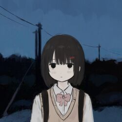 Rule 34 | 1girl, black eyes, black hair, blue sky, bow, bowtie, brown sweater vest, closed mouth, collared shirt, commentary request, dress shirt, expressionless, hair ornament, hairclip, highres, light blush, looking at viewer, original, outdoors, pink bow, pink bowtie, shirt, short hair, shoulder strap, sky, solo, straight-on, sweater vest, toyono saki, twilight, upper body, utility pole, white shirt