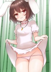 Rule 34 | 1girl, animal ears, bamboo, bamboo forest, blush, brown hair, carrot necklace, closed mouth, clothes lift, colored eyelashes, commentary, cowboy shot, dress, dress lift, floppy ears, forest, groin, highres, inaba tewi, jewelry, kasoka soka, looking at viewer, nature, necklace, panties, pink dress, pink panties, puffy short sleeves, puffy sleeves, rabbit ears, rabbit girl, red eyes, ribbon-trimmed dress, short hair, short sleeves, skirt, skirt lift, smile, solo, standing, touhou, underwear