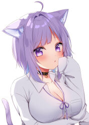 Rule 34 | 1girl, :o, ahoge, animal ear fluff, animal ears, arm under breasts, belt collar, blush, breast pocket, breasts, cat ears, cat girl, cat tail, cleavage, collar, collarbone, collared shirt, hand on own face, heart, heart-shaped pupils, highres, hololive, large breasts, looking at viewer, medium hair, neck ribbon, nekomata okayu, nekomata okayu (oversized shirt), open mouth, pocket, purple eyes, purple hair, purple ribbon, ribbon, shinonome asu, shirt, simple background, sleeves past fingers, sleeves past wrists, solo, symbol-shaped pupils, tail, virtual youtuber, white background, white shirt